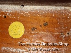 Fender Stratocaster- Reissue Strat Bodies — 1982%20tremolo%20cavity%20date