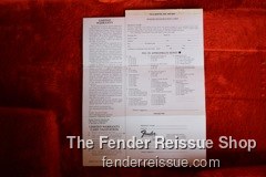 Fender Stratocaster - Reissue Strat Case Candy