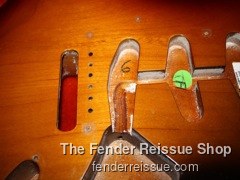 Fender Stratocaster- Reissue Strat Bodies
